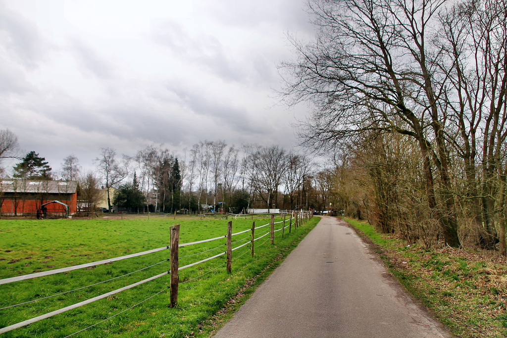 Natroper Weg (Datteln-Natrop) / 19.02.2022