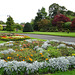 Flowers In Levengrove Park