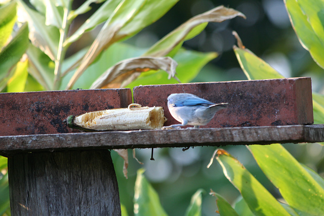 2012 0908PhotosAug20120031