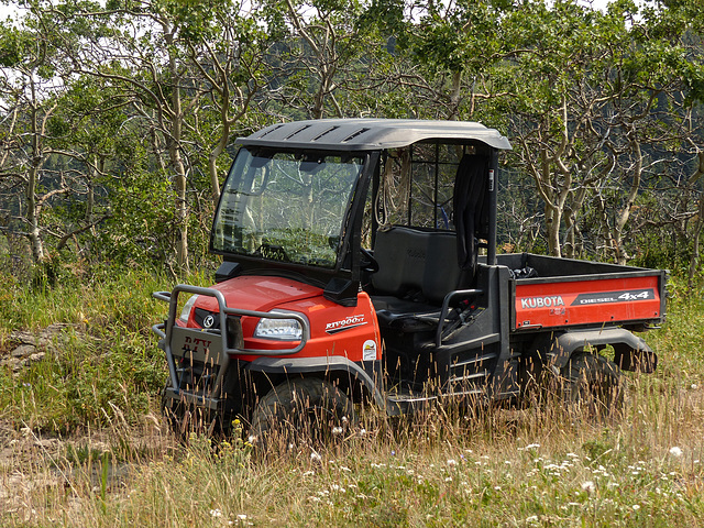 Thank goodness for the Kubota