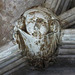 exeter cathedral, devon