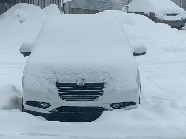 Last night's snow .... and -29°C (windchill -38°C)