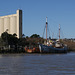 Old Ships On The Tamar