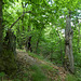 20190622 Rando solo St André de Valborgne (Cevennes) (118)