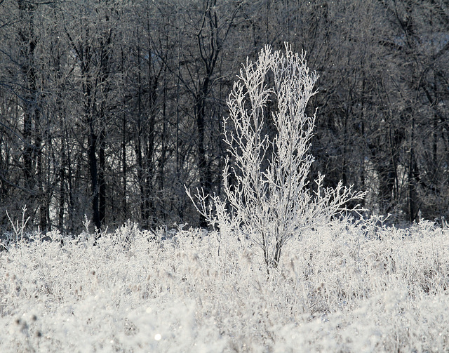 noir et blanc noir et blanc