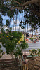 Clôtures, lanterne et drapeau / Lantern, flags and fences