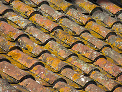 Roman Baths roof tiles