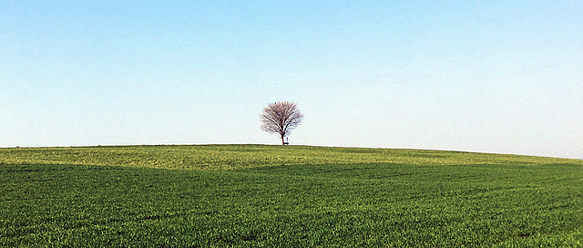 The One Tree Hill of Kemmental