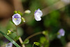 DSCF5661