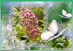 Composition florale avec du lilas du jardin