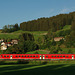 BÖ0023349