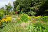 Flowers In Hermitage Park