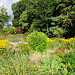 Flowers In Hermitage Park