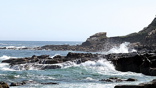 The Moray Coastline east of Primrose Bay