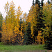 down by the river 9-24