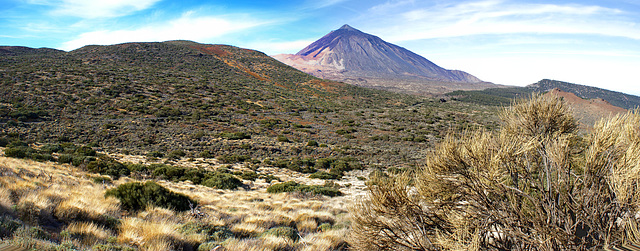 Der Teide hinter einer unnachahmlichen Natur... ©UdoSm