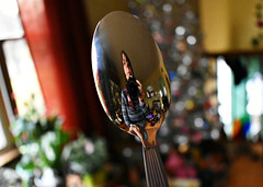 Spoon Selfie?