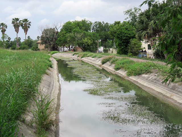 Day 8, canal, Santa Ana NWR