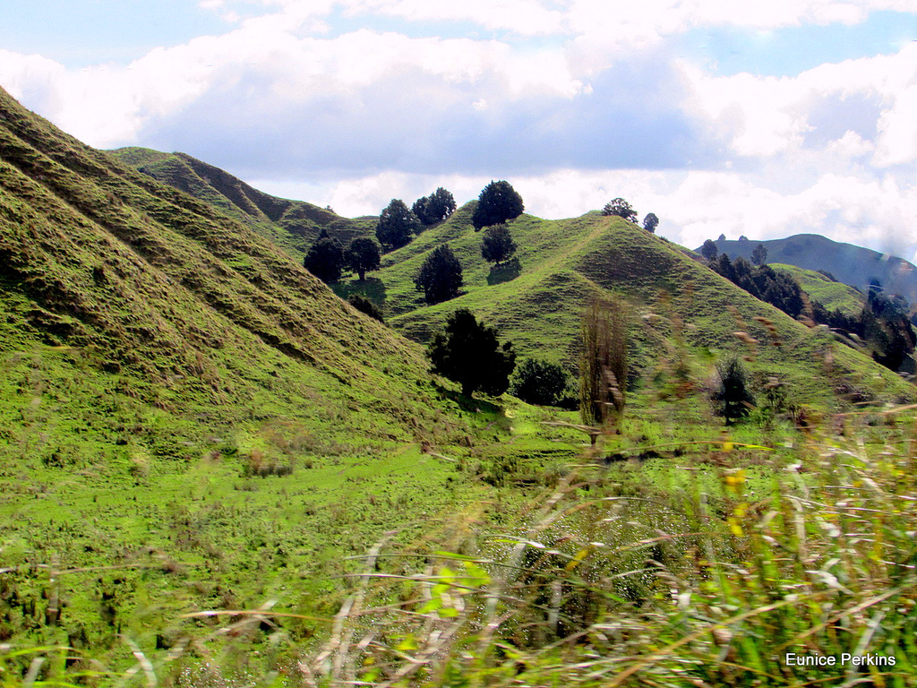 Up  Okahukura Saddle Road