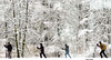 Fondeurs sur de la nouvelle neige