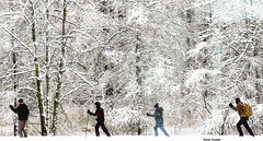 Fondeurs sur de la nouvelle neige