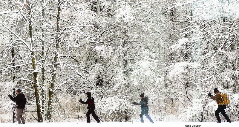 Fondeurs sur de la nouvelle neige