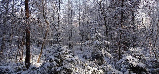 113 Tage bis Frühlingsanfang