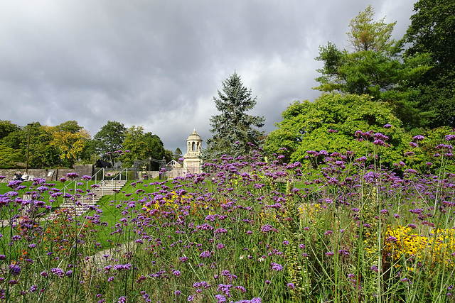 Flowers In Hermitage Park