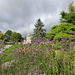 Flowers In Hermitage Park