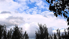 Fluffy Clouds.