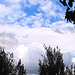 Fluffy Clouds.