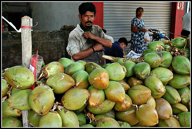 Tender coconuts