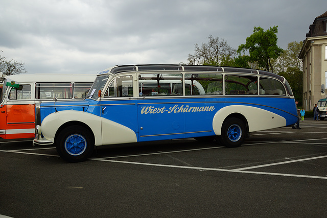 Omnibustreffen Sinsheim/Speyer 2017 455