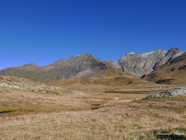 In der Greina Hochebene /Val Lumnezia