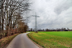 Pelkumer Weg (Datteln) / 19.02.2022