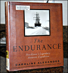 THE ENDURANCE