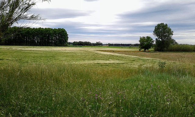 An der Muga bei Capanes