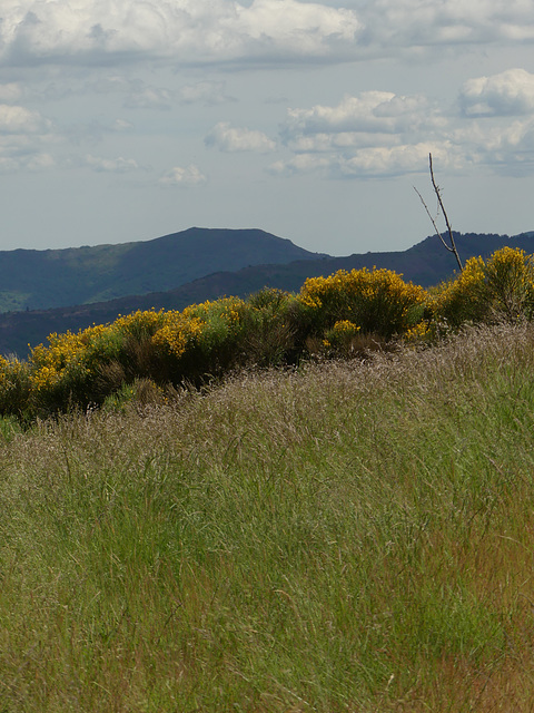 20190622 Rando solo St André de Valborgne (Cevennes) (135)