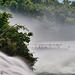 Fährbood am Rheinfall Felsen im Wasser Nebel