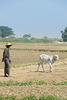 Zwischehalt in der Nähe von Myinmu am Irrawaddy - P.i.P.  (© Buelipix)