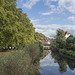 zwischen Neckarinsel und Uhlandstrasse (© Buelipix)