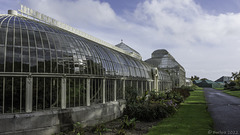 in the National Botanic Gardens of Ireland ... P.i.P. (© Buelipix)