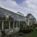 in the National Botanic Gardens of Ireland ... P.i.P. (© Buelipix)