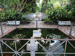 Valencia: Jardín botánico, 29