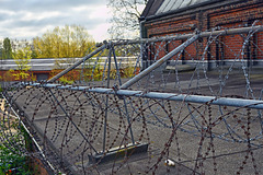 Dachdraht