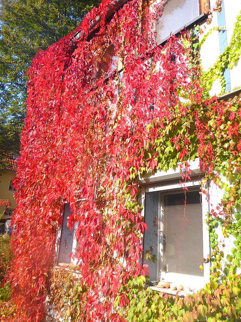 Abschied in Rot - adiaŭo per ruĝo