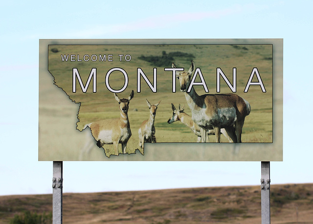 Montana