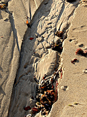 traces de mer,