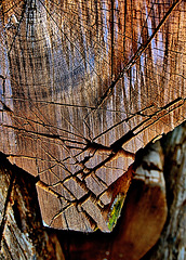 Wood Reclamation Yard