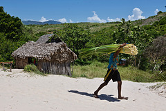 Village de brousse